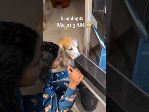 Fridge khula nahi ke Maffu aajata ?? # #funnyshorts #goldenretriever thumbnail