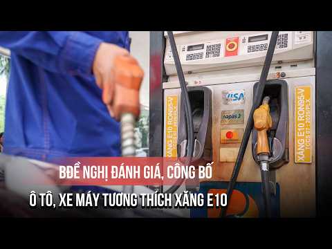 Bộ Công thương đề nghị đánh giá, công bố ô tô, xe máy tương thích xăng E10 thumbnail