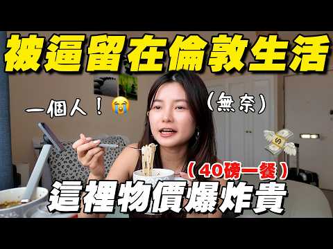 命運啊～ 要我留在最贵的城市！我吃不起！ thumbnail