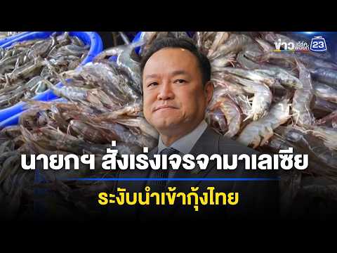 นายกฯ สั่งเร่งเจรจามาเลเซีย หลังระงับนำเข้ากุ้งไทย | ข่าวเช้าออนไลน์ | 4 มิ.ย.69 thumbnail