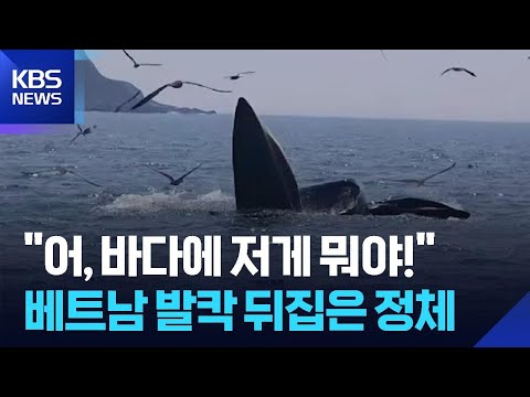 [글로벌K] "어, 바다에 저게 뭐야!"…베트남 발칵 뒤집어 놓은 정체 / KBS  2026.05.28. thumbnail