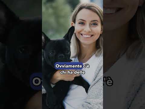 Quanta importanza diamo ai nostri animali domestici? thumbnail