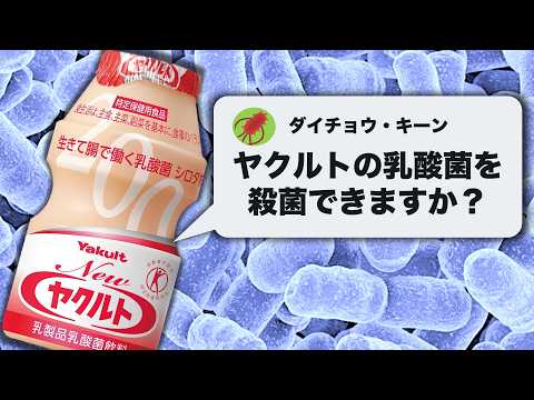 ヤクルトの生きた乳酸菌を殺菌してみた / 無菌の乳酸菌飲料が飲みたい！ thumbnail