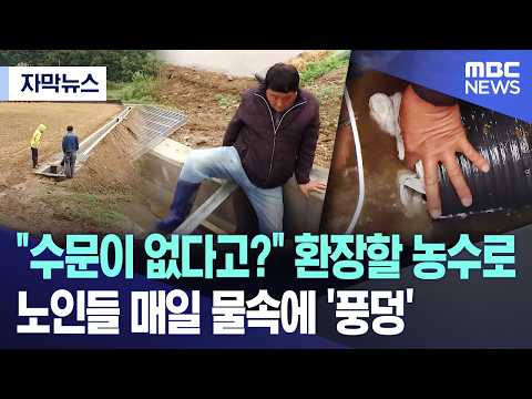 [자막뉴스] "수문이 없다고?" 환장할 농수로.. 노인들 매일 물속에 '풍덩' (충북MBC뉴스) thumbnail