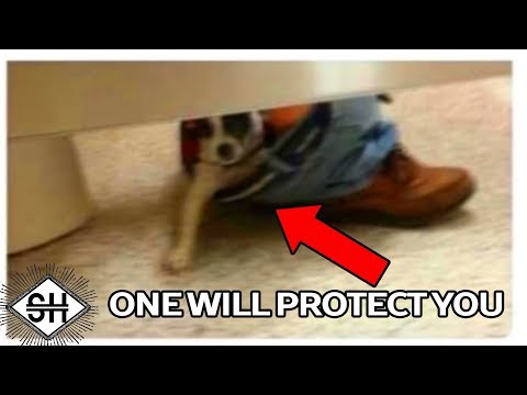 1 Will Protect You. The Rest Will Attack. thumbnail