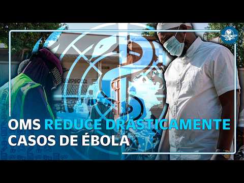 Ébola en África: OMS reduce casos sospechosos, pero aumentan contagios thumbnail