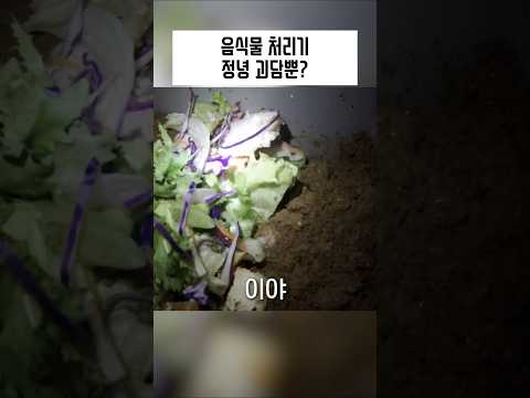 괴담이 난무하는 음처기씬에 미담이 빛나는 회사 thumbnail