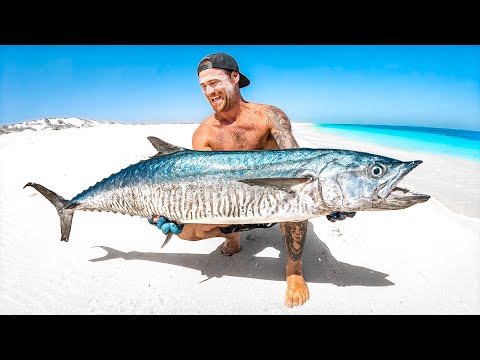 Catching Giant Mackerel For Food In Remote Australia thumbnail