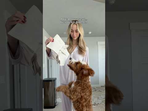 Daisy decided to pick up reading #dogs #puppy thumbnail