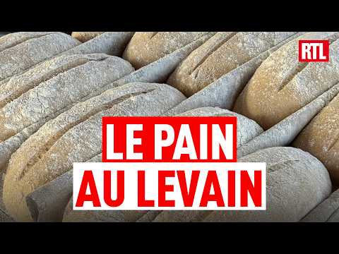 Pourquoi tout le monde se met au levain ? thumbnail