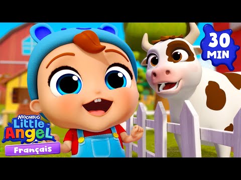 Que font les animaux à la ferme ? | Comptines avec Bébé Louis | Little Angel Français thumbnail