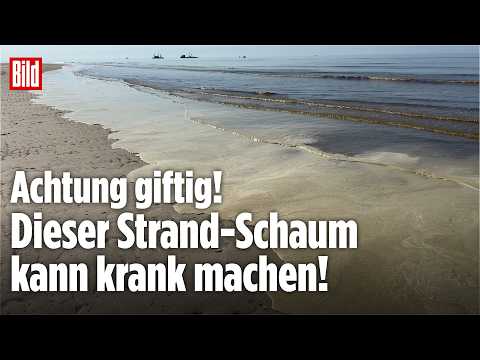 EKEL-SCHAUM AUF NORDERNEY: Behörden warnen vor giftigem Bad im Meer! thumbnail