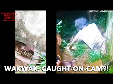 HINIHINALANG WAKWAK, NATAGPUAN SA NORTHERN SAMAR?! | Kapuso Mo, Jessica Soho thumbnail