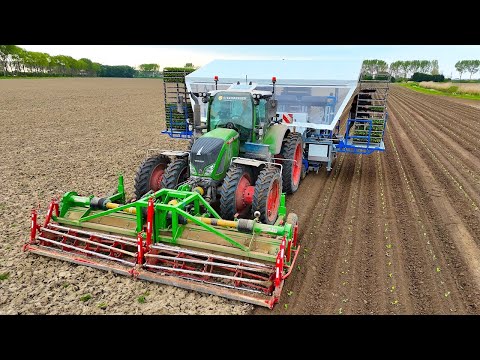 Fully Automated Planting of Brussels Sprouts w/ 6-row TTS Transplanter - Fendt 724 - Verdonk thumbnail