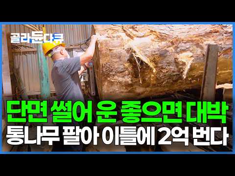 10톤 통나무 단면 썰었는데 세상에. 소문 듣고 주부들이 자꾸 사러온다｜우드 슬래브｜극한직업｜#골라듄다큐 thumbnail
