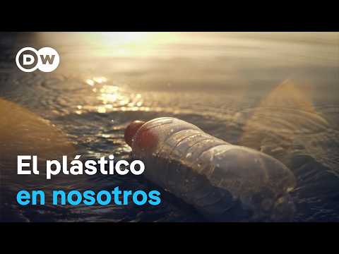 Nano- y microplástico: amenaza invisible para el cuerpo | DW Documental thumbnail