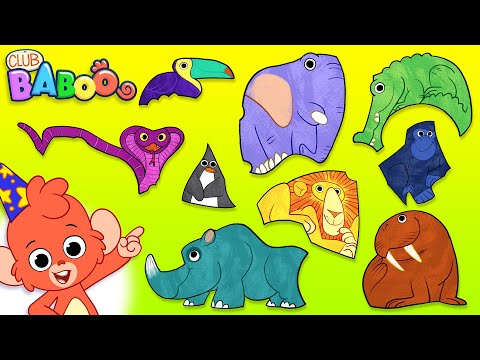 WILD ANIMALS Puzzle | Club Baboo Junior | 1 HOUR Fun Educational Video for Kids | Learn Animal Names thumbnail
