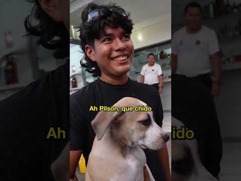Encontramos Un Perrito Sin Nombre thumbnail
