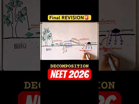 Big NCERT CONFUSION?| Decomposition | Ab Bhulna Impossible? thumbnail