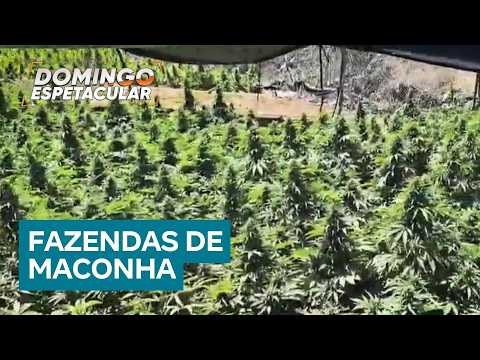 Polícia desmantela intercâmbio entre grupos criminosos da Bahia e do Rio de Janeiro thumbnail