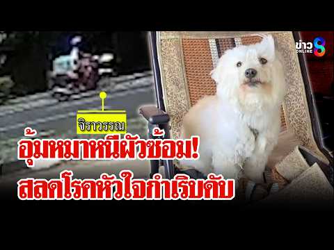 เวทนา! คุณยายหนีผัวทำร้าย สุดท้ายโรคหัวใจกำเริบดับ | ลุยชนข่าว | 28 พ.ค. 69 thumbnail