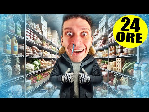 SOPRAVVIVO mangiando SOLO cibo SURGELATO per 24 ORE !! thumbnail