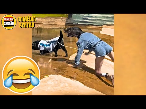 SE VOCÊ RIR, VOCÊ PERDE! Vídeos Engraçados 2024 thumbnail