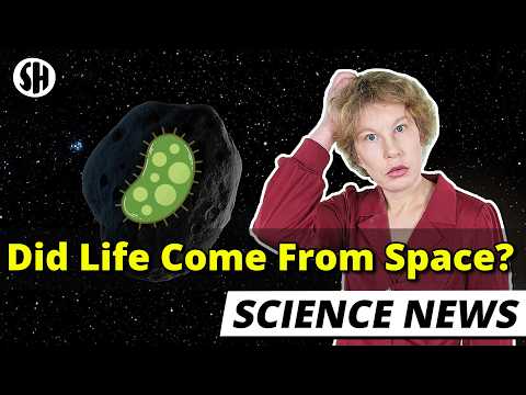 Did Life Come To Earth On An Asteroid? thumbnail