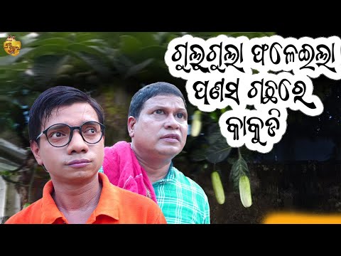 ଗୁଲୁଗୁଲା ଫଳେଇଲା ପଣସ ଗଛ ରେ କାକୁଡି | Gulugula Comedy New | Pragyan Shankar Comedy Center thumbnail