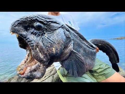 ヤバい魚を捕まえてしまった！！！！！！！！！！ thumbnail