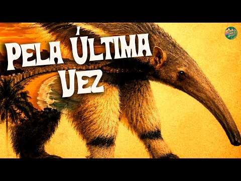 Grupo Menos É Mais, NATTAN - Pela Última Vez (Ao Vivo) || Letra/Lyrics thumbnail