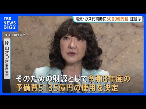 夏の電気・ガス料金支援 今年度予備費から5135億円支出を閣議決定　出口戦略が喫緊の課題｜TBS NEWS DIG thumbnail