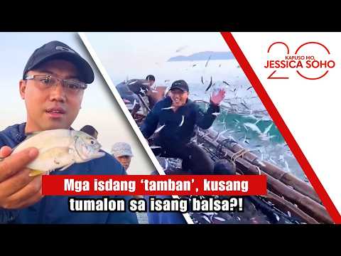 Mga isdang ‘tamban’, kusang tumalon sa isang balsa?! | Kapuso Mo, Jessica Soho thumbnail
