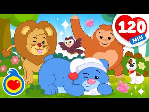 Oso Dormilón, En Busca De Un León ?? Y Más Canciones Infantiles de Animales (120 Min) | Plim Plim thumbnail