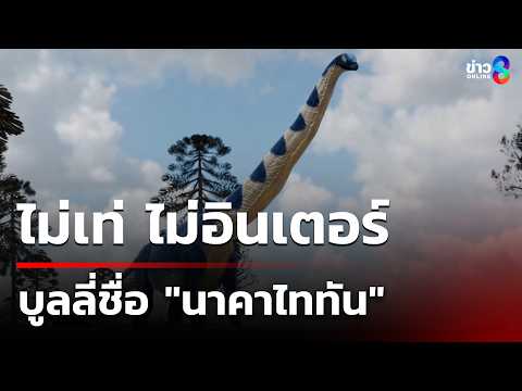 ดรามา ชื่อ "นาคาไททัน" บูลลี่ชื่อไม่เพราะ ไม่อินเตอร์ | 16 พ.ค. 69 | ข่าวใหญ่ช่อง8 thumbnail
