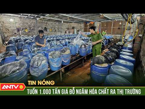 3 chủ cơ sở ở Bắc Ninh dùng 'nước kẹo' độc hại để sản xuất giá đỗ | ANTV thumbnail