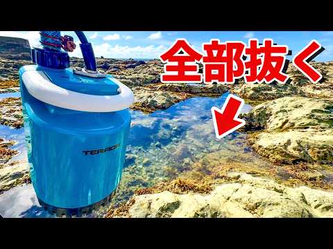 磯の水全部抜いたらヤバすぎた thumbnail