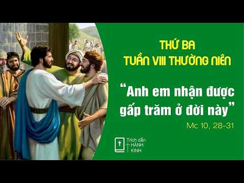 Ngày 26/05: Phêrô có bỏ mọi sự? – Lm. Giuse Đaminh Nguyễn Ngọc Tân, CP thumbnail