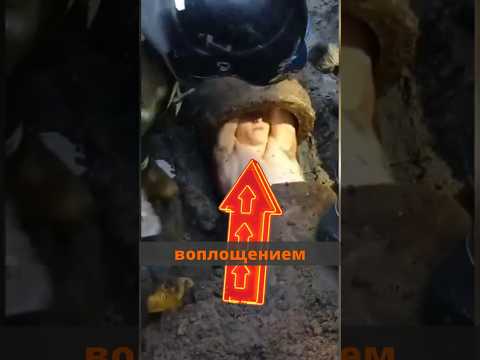 В Пулково спасатели спасли парня застрявшего в канализационной трубе #новости #история #истории thumbnail