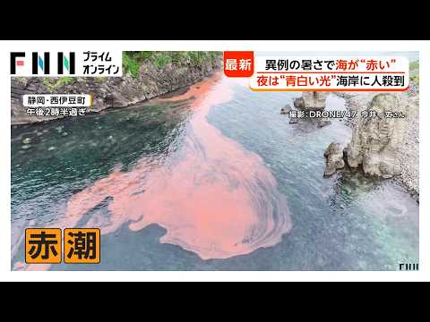 土石流や倒木 鹿児島で激しい雨…異例の暑さで“赤潮”の地域も 夜には“夜光虫”の青白い光（2026年05月27日） thumbnail