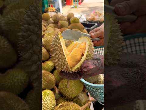Musim durian dah mula 😋 thumbnail