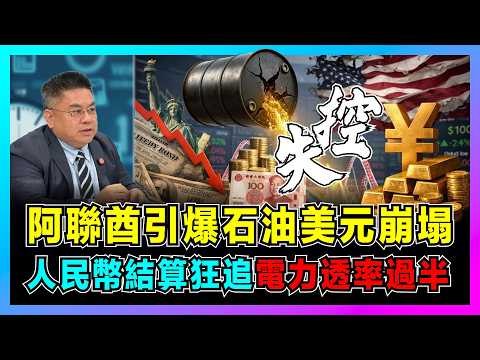 阿聯酋引爆石油美元崩塌，人民幣結算狂追，電力透率過半！｜美國頁岩油成致命殺手，伊朗委內瑞拉陷死循環，全球油價失控？【藍莓時間線 EP24】 thumbnail