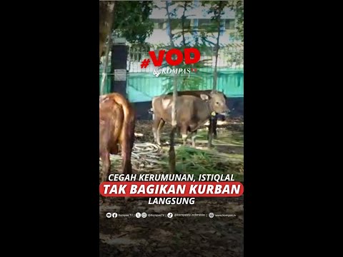 CEGAH KERUMUNAN, ISTIQLAL TAK BAGIKAN KURBAN LANGSUNG #short thumbnail