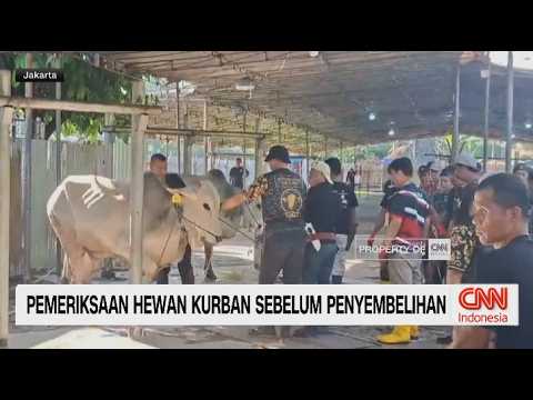 Ratusan Petugas Periksa Hewan Kurban dan Razia Limbah Sungai thumbnail