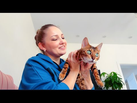 ВЛОГ На сад 🪴 деньги тратим каждый день / Занимаемся делами ПЕРЕСАДКА РАСТЕНИЙ 🌱 thumbnail