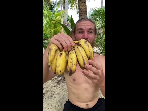 These Bananas Are Not What You Think thumbnail