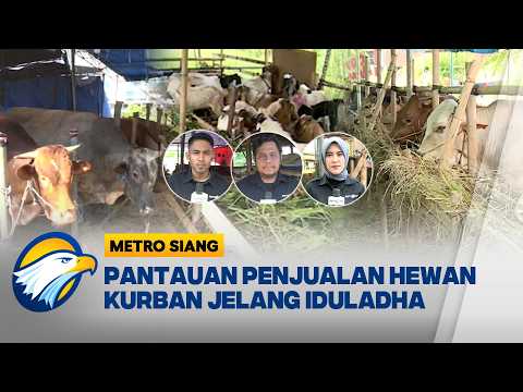 Geliat Penjualan Hewan Kurban 2026: Surabaya, Bandung dan Medan [Metro Siang] thumbnail