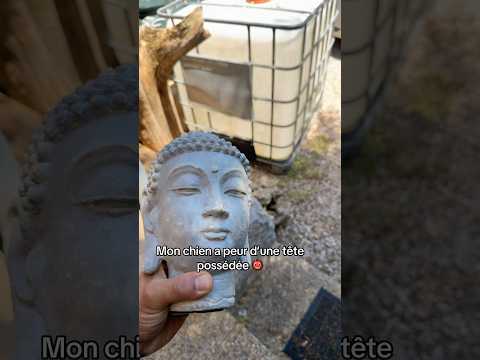 C’est pour ça que depuis que je l’ai il se passe des choses bizarres😨 #tete #sculture #egypt #jnoun thumbnail