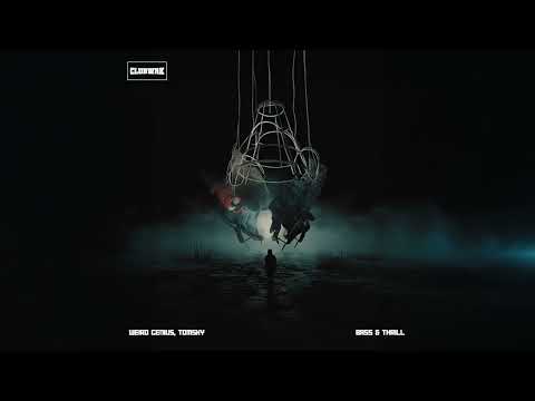 Weird Genius & Tomsky - Bass & Thrill (Visualizer) thumbnail