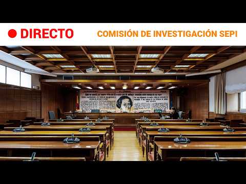 DIRECTO | SENADO: COMISIÓN de INVESTIGACIÓN sobre la GESTIÓN de la SEPI | RTVE Noticias thumbnail